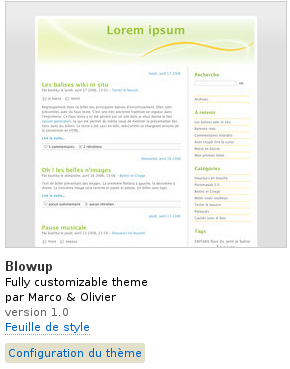 Grand aperçu Blowup