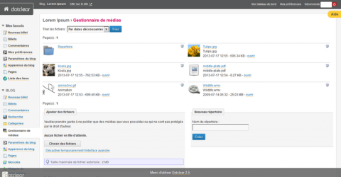 Gestionnaire de médias